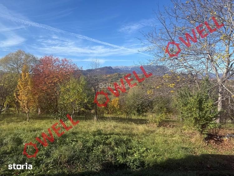 Casa de vanzare in Sohodol, Bran, cu teren de 4.831 m2!