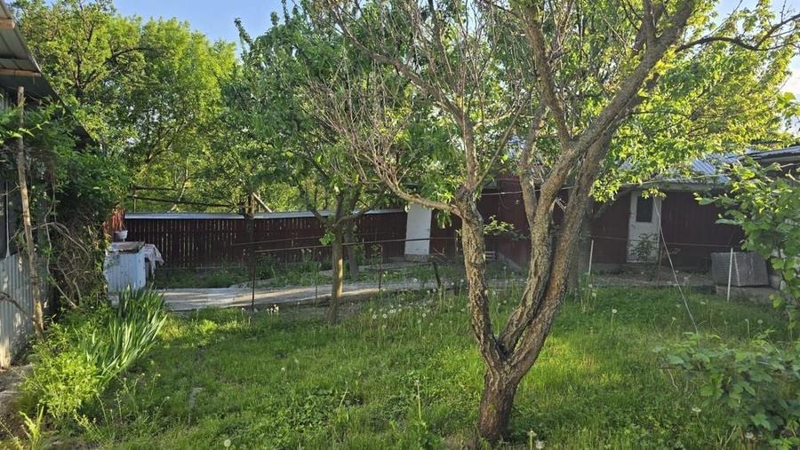 Casă cu 4 camere cu Teren 3000 Mp în Suharău