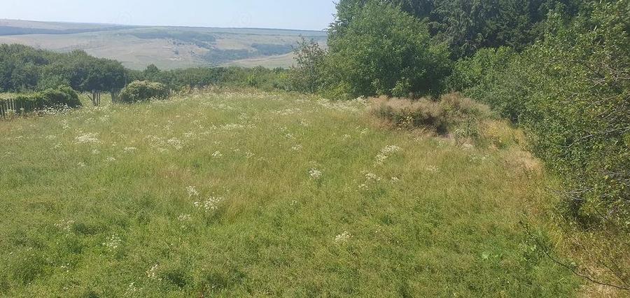 Teren de 5000 mp, în Schitu Hadâmbului