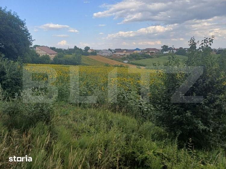 Teren de 2000 mp, în Moara