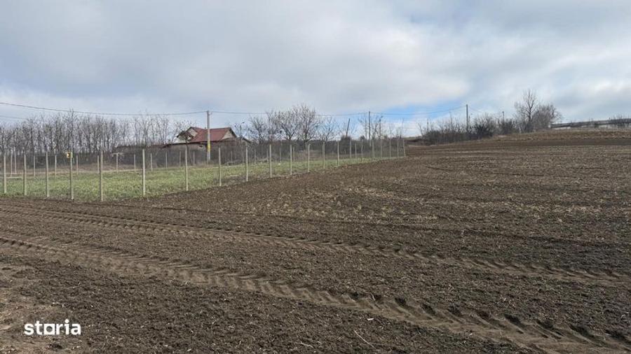 Teren de 903 mp, în Aroneanu