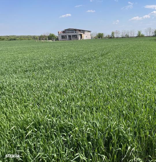 Teren de 1100 mp, în Moara Vlăsiei