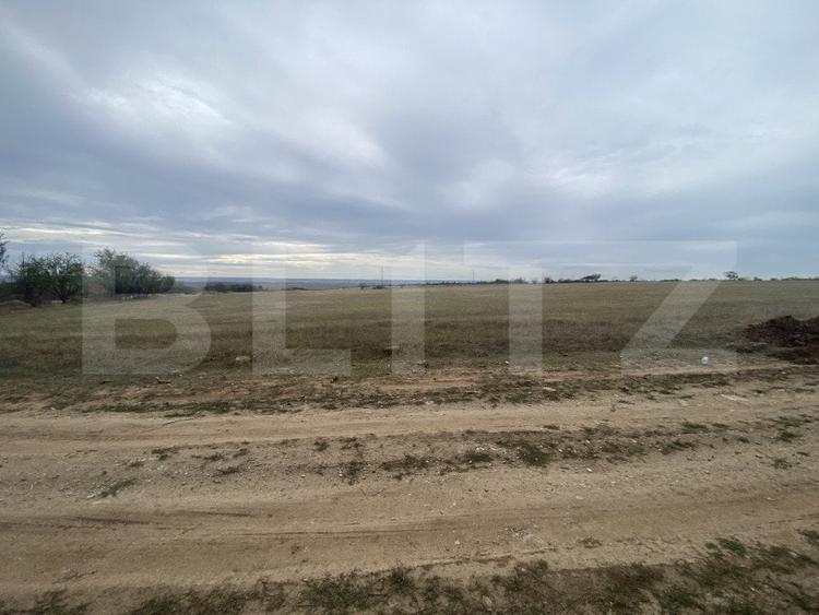 Teren Construcții intravilan de 15000 mp, în Est