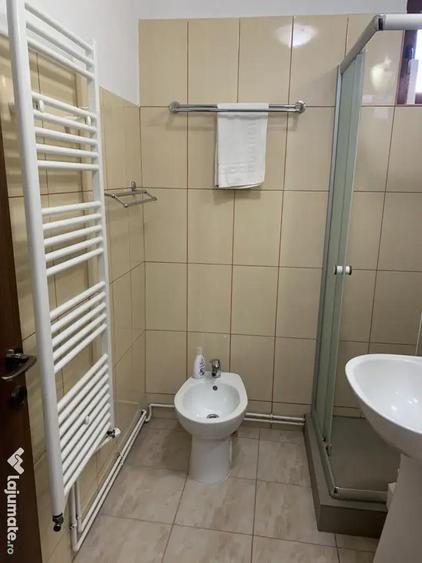 Apartament cu 3 camere de vanzare in Curtea de Arge? central - 8