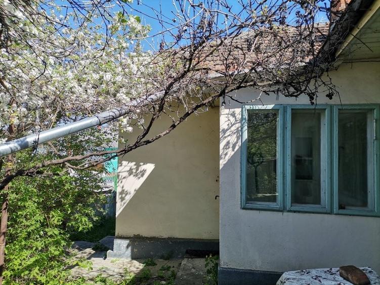 Casă cu 3 camere în Central
