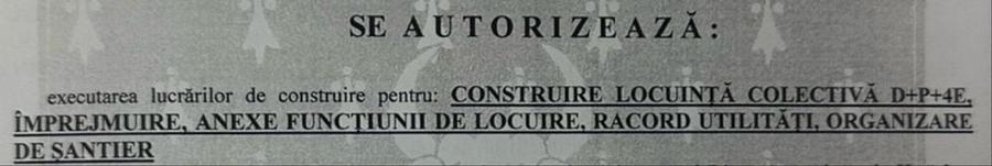 Spațiu comercial, în Vișani