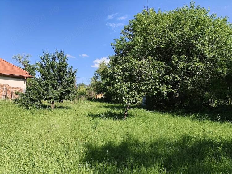 Teren de 2000 mp, în Fedeleșoiu