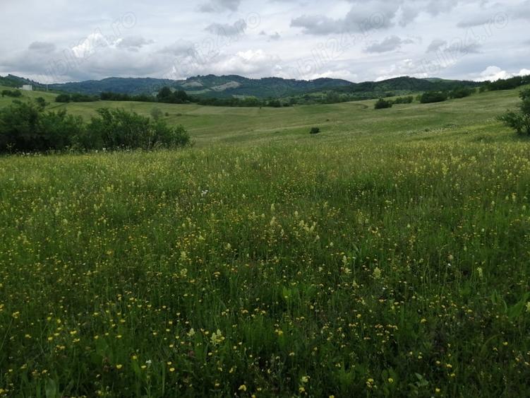 Teren de 4777 mp, în Posești