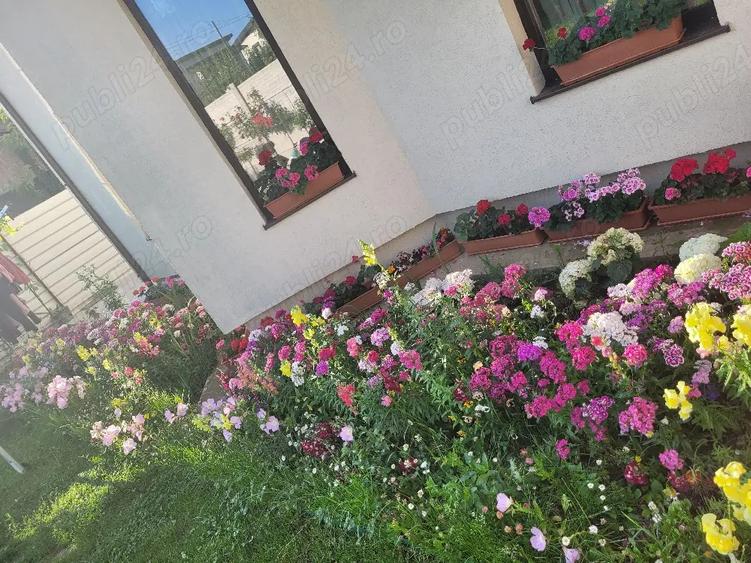 Casă cu 4 camere cu Teren 383 Mp în Albești