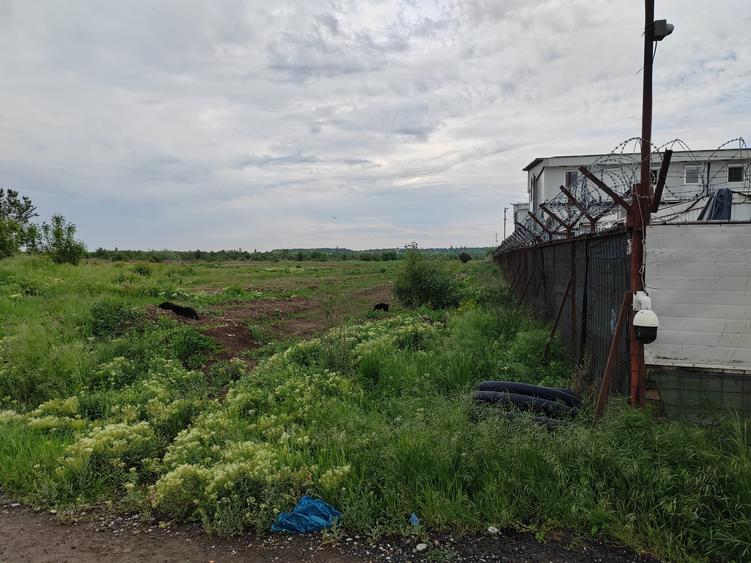 Teren Construcții intravilan de 5000 mp, în Odăi