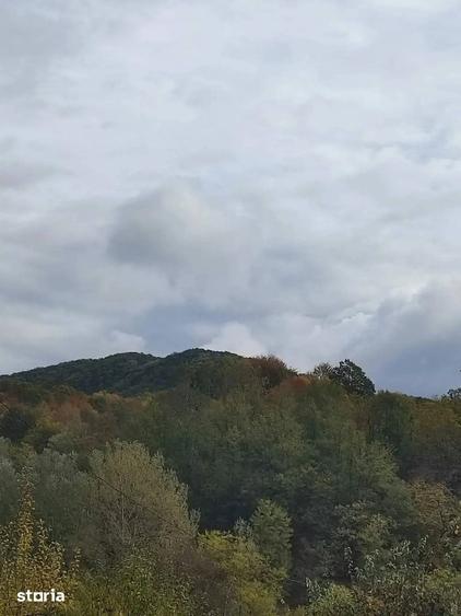 Teren de 1400 mp, în Vișinești