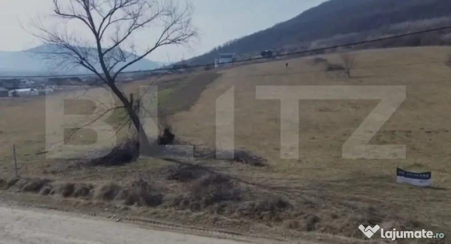 Teren în Viișoara