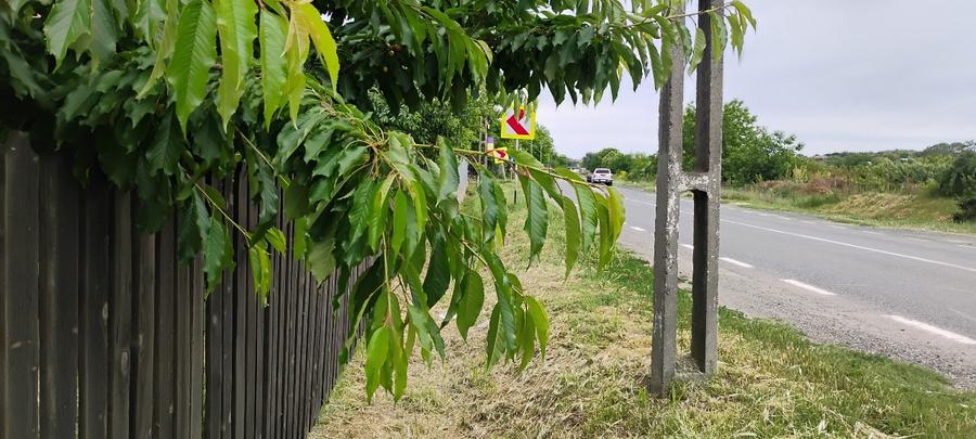 Teren Construcții intravilan de 3200 mp, în Somova