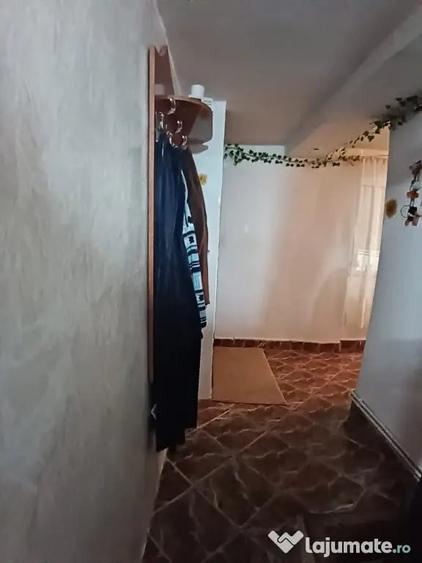 Casă cu 4 camere cu Teren 2300 Mp în Valea Borcutului