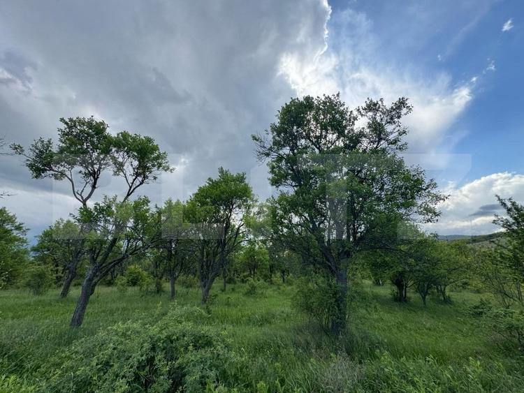 Teren agricol extravilan de 5305 mp, în Periferie