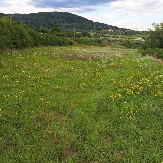 Teren de 7000 mp, în Almașu Sec