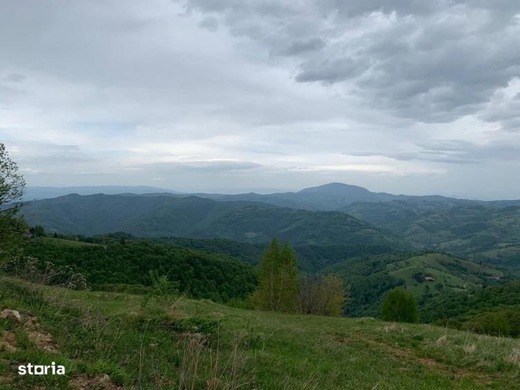 Spațiu comercial, în Paltin