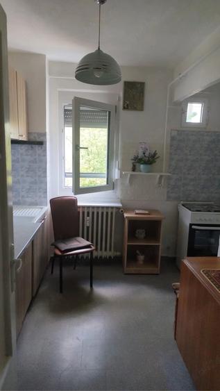 Apartament cu 2 camere semidecomandat în Brazda lui Novac