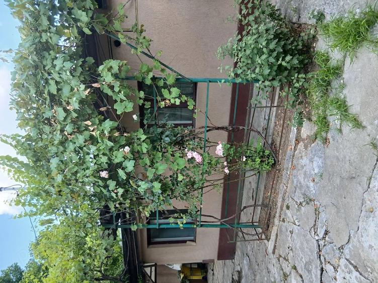 Casă cu Teren 248 Mp în Andronache