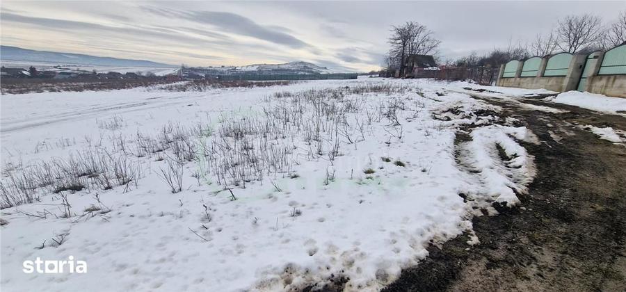 Teren de 1800 mp, în Sărata