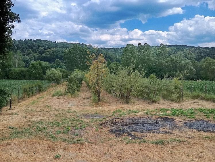 Teren de 3000 mp, în Ezeriș
