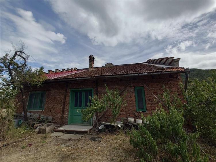 Teren Construcții intravilan de 6354 mp, în Mihăileni