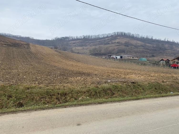 Teren de 5800 mp, în Șaroș pe Târnave