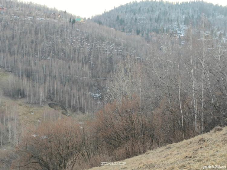 Teren de 15000 mp, în Plopi