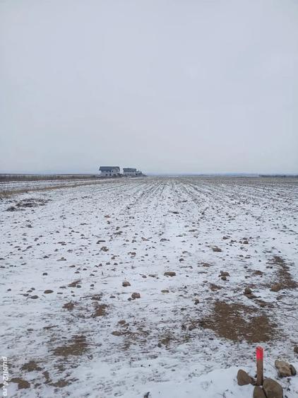 Teren de 5000 mp, în Cărpiniș