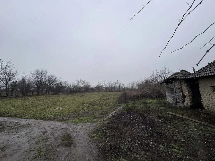 Casă cu Teren 2500 Mp în Central