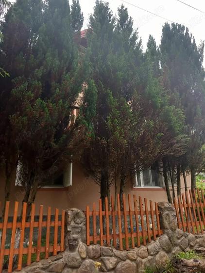 Casă în Poiana
