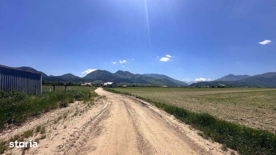 Teren de 400 mp, în Central