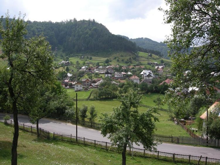 Teren în Central