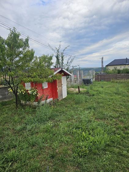 Teren de 1147 mp, în Sava