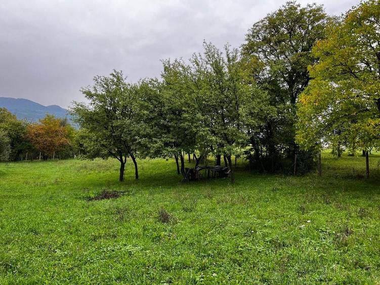 Spațiu comercial, în Hoteni