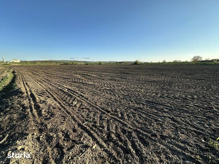 Teren de 10000 mp, în Târnăveni