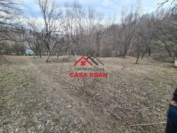Teren de 3448 mp, în Provița de Jos