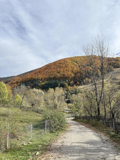 Proprietar, vand teren intravilan Malul Negrasului - Traisteni, Valea Doftanei - 2