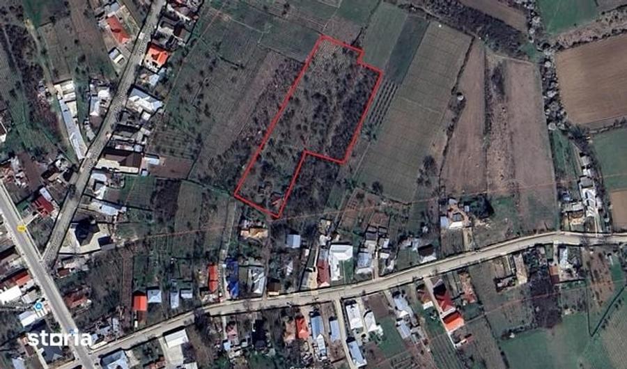 Teren de 8800 mp, în Tâmboești