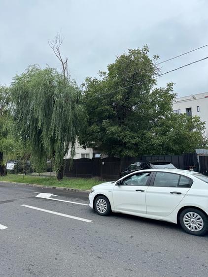 Teren intravilan de 564 mp, în Sisești