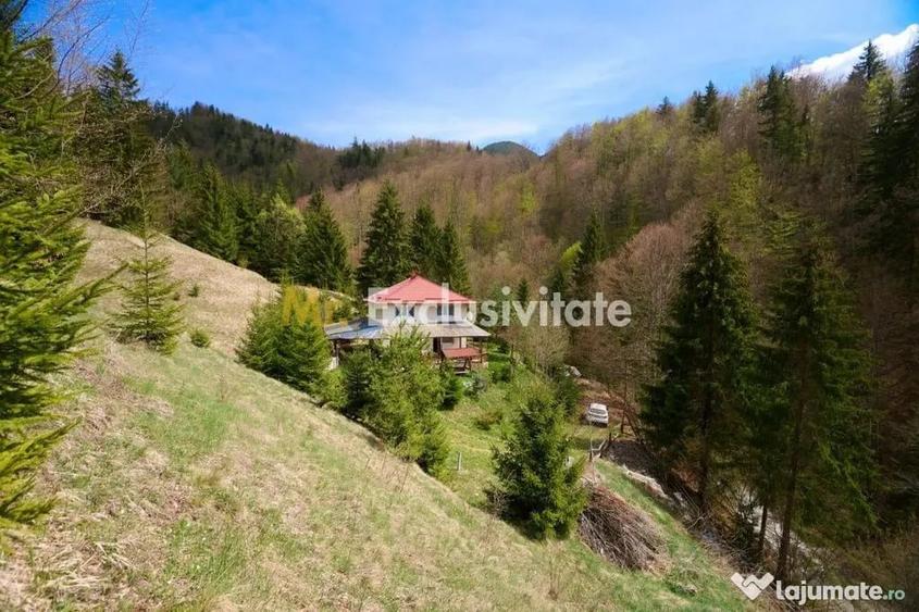 Casă cu 5 camere cu Teren 6412 Mp în Dâmbovicioara