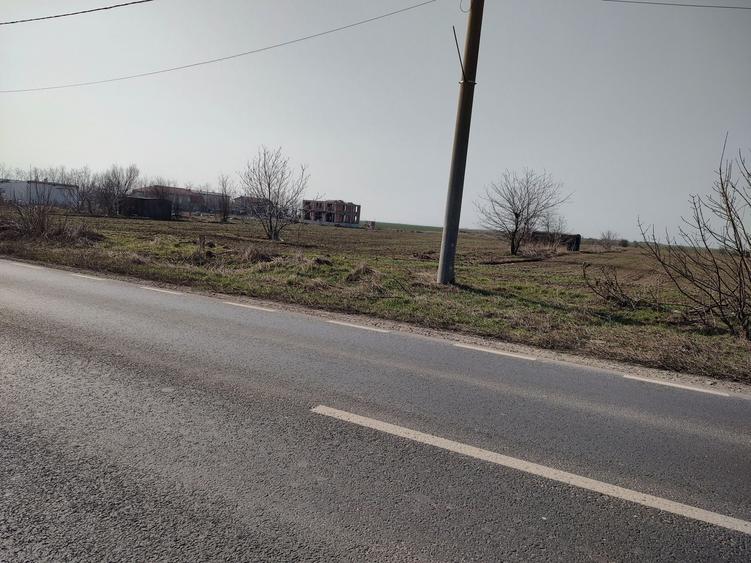 Teren de 5000 mp, în Frumușani
