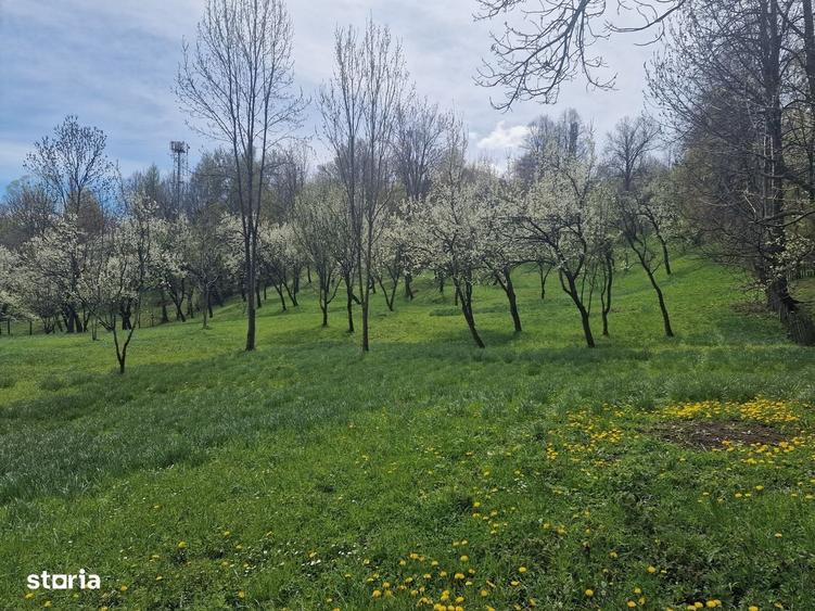 Spațiu comercial, în Ghioșești