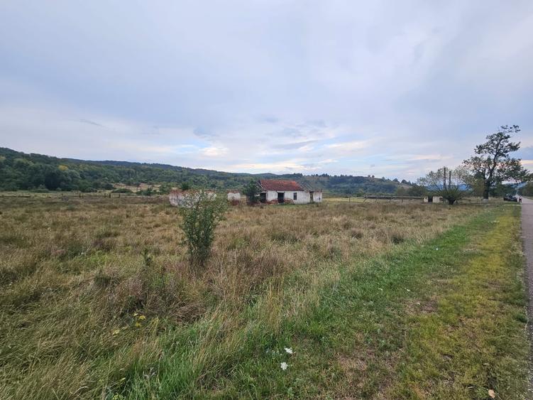 Teren Construcții intravilan de 47430 mp, în Petriș