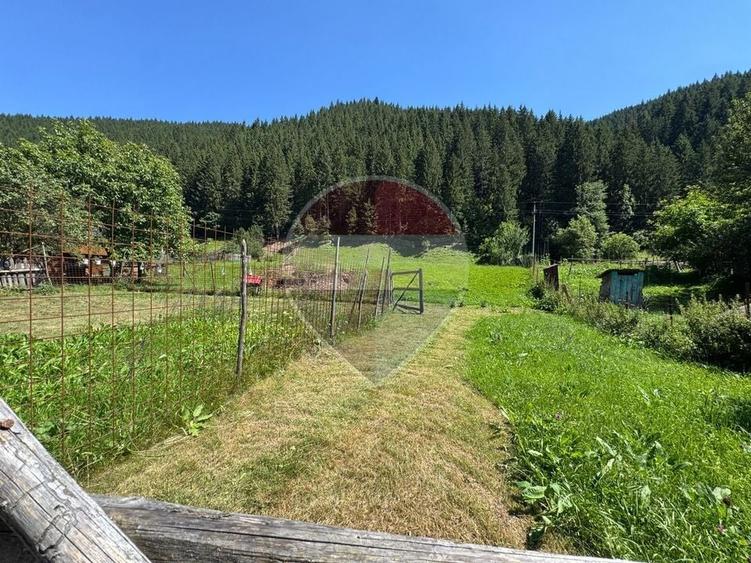 De vanzare | Teren 5412mp , Scoala Sabasa | Borca | Neamt - 12