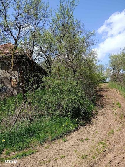 Casă cu 2 camere cu Teren 5300 Mp în Sânpaul