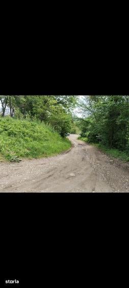 Teren de 900 mp, în Central