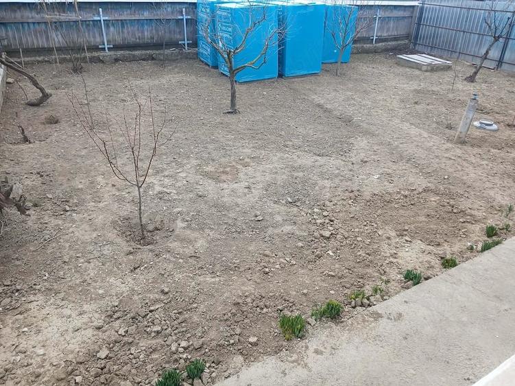 Casă cu Teren 1200 Mp în Central