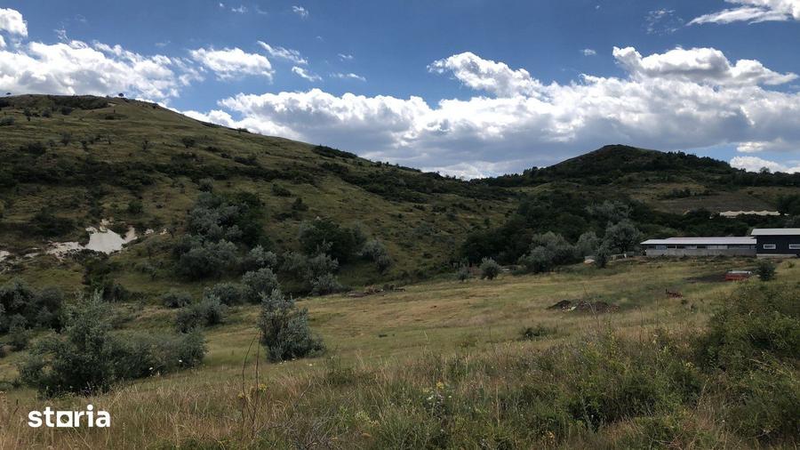 Teren de 500000 mp, în Gura Vadului