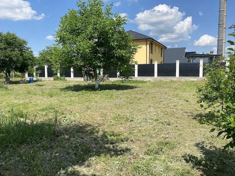 Teren de 700 mp, în Narcisa
